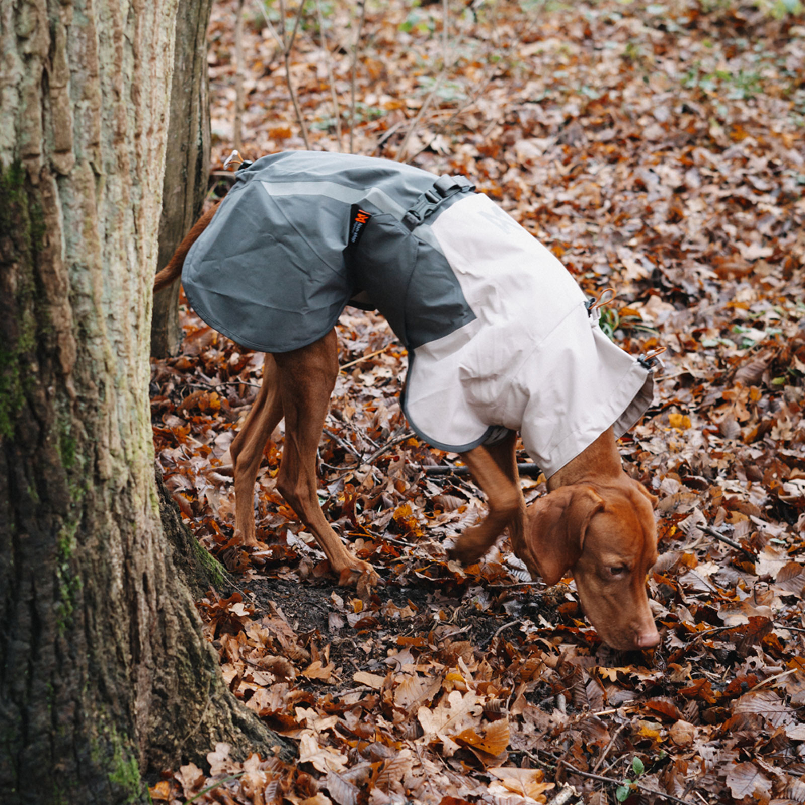 Non-Stop Dogwear - Dein Profi Hunde-Equipment Produktbild-Vorschau 3